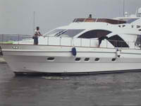 Albatross