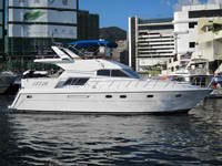 Gold Island 47