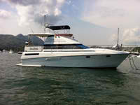 Silverton 46